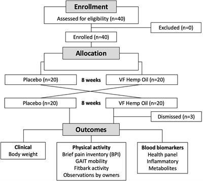 Efficacy and tolerability of full spectrum hemp oil in dogs living with pain in common household settings
